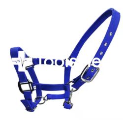 Kantar dla koni/bydła M