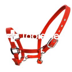 Kantar dla koni/bydła L