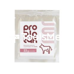 LAB-V Probiotyk 22 g dla bydła różowy